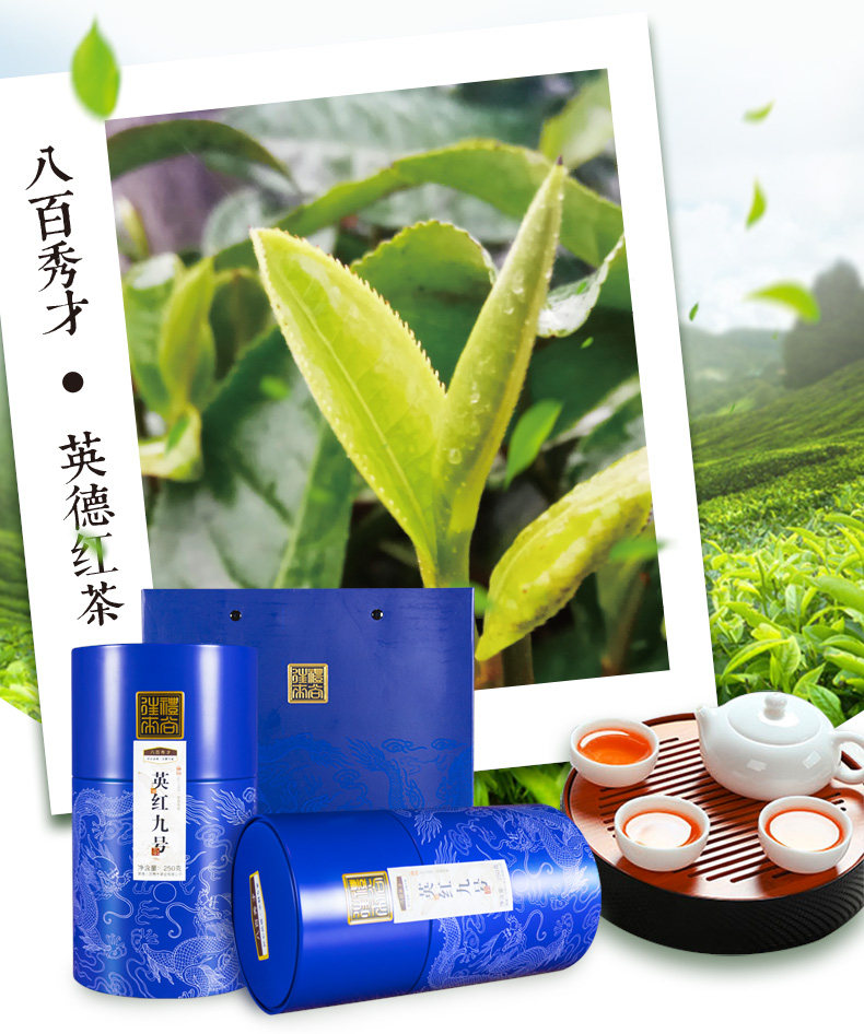 国家地理标志产品 八百秀才 英德红茶英红九号龙纹罐 250g*2罐礼盒装 天猫优惠券折后¥48包邮 (¥98-50)京东¥109