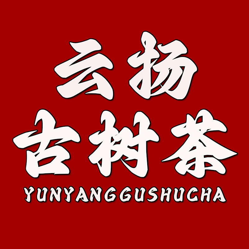 云扬古树茶