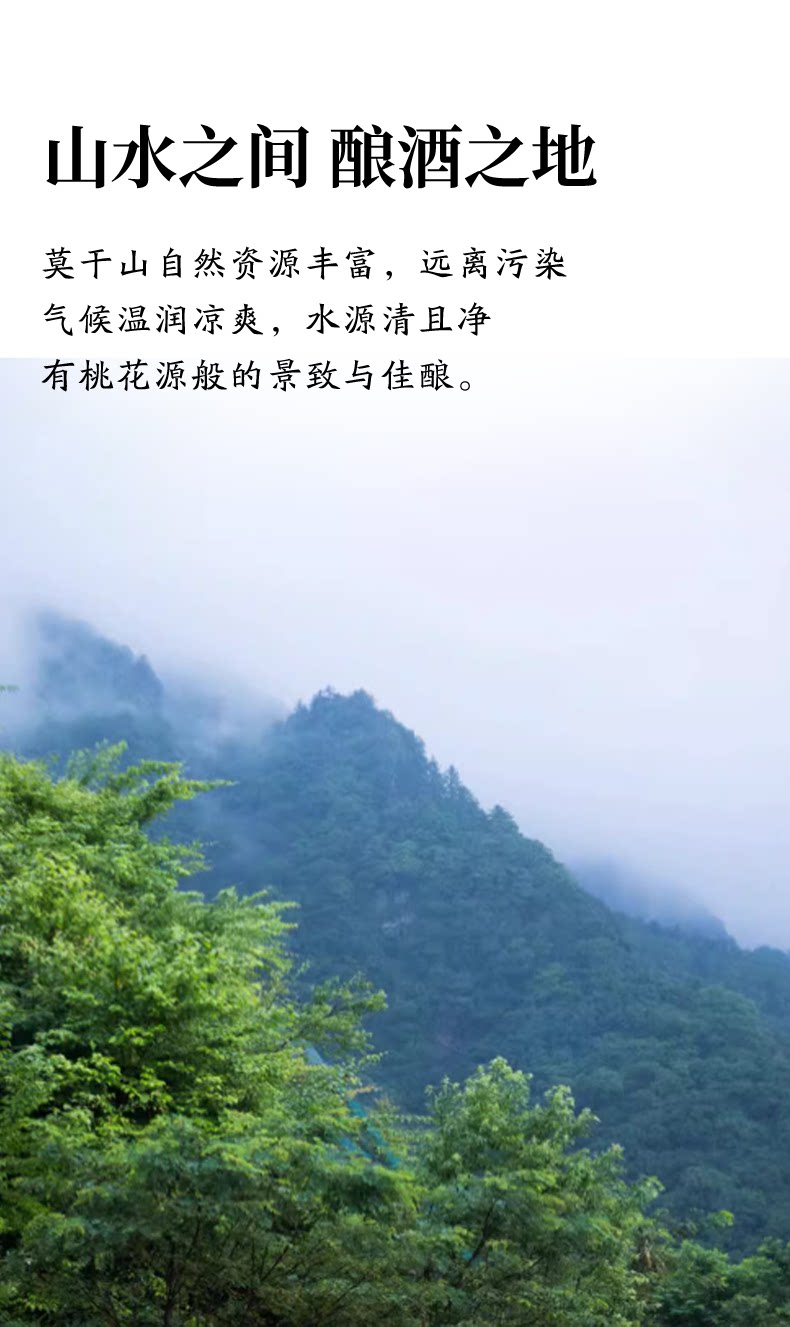 安享好物 安享B级果酒-莫干山20度青梅酒 企标