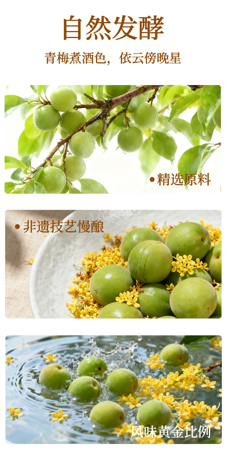 安享好物 安享B级果酒-莫干山青梅桂花酒