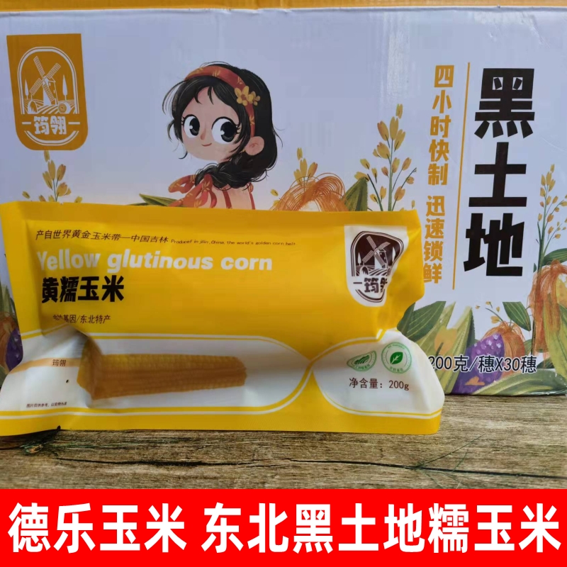 Dele corn Junling glutinous corn Northeast Jilin non-genetically modified non-frozen fresh food vacuum breakfast corn