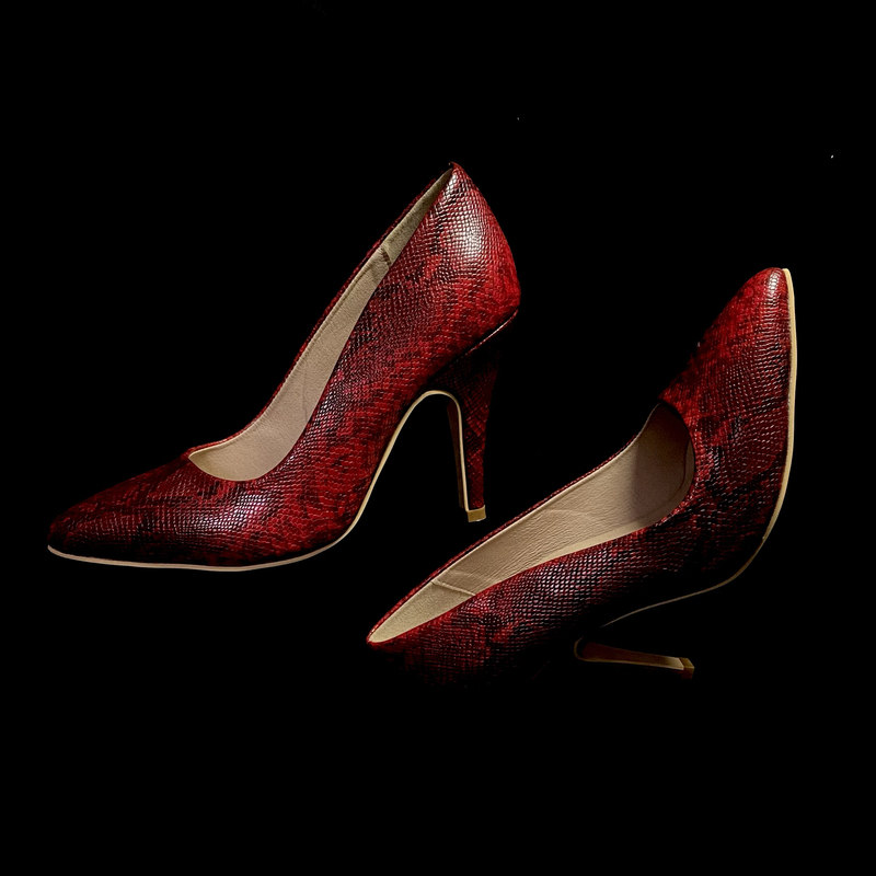 Pump Professional Dance Shoes 《1920S》 Retro Red Snake Pattern Heels Soft Sole Shallow High Heels Issooa