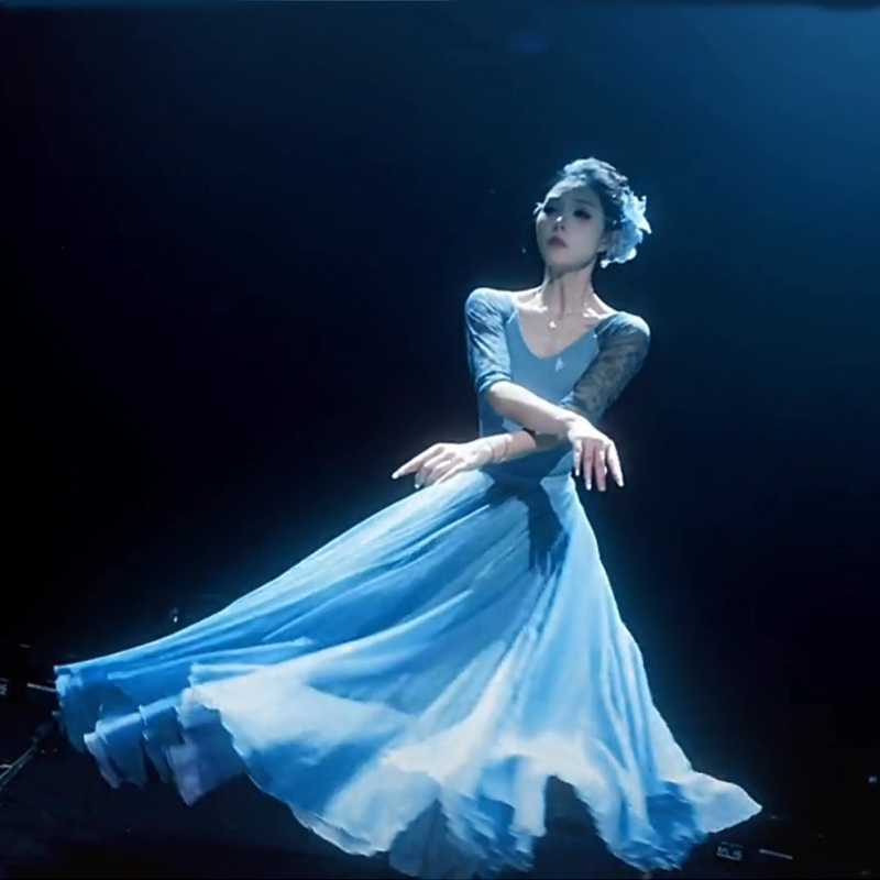 Dream Dance Costume Spring Festival Gala Dreamy Evening Breeze Dance Skirt Classical Dance Large Skirt Dream Chaser Drunk on Spring Breeze