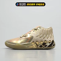 Золото 379223-01 Spot Counter-Contre подлинное поддельное наказание три