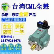 CM-91-S-21 11-00 CML Taiwan full-Maw plunger pump injection machine oil pump imported hydraulic pump