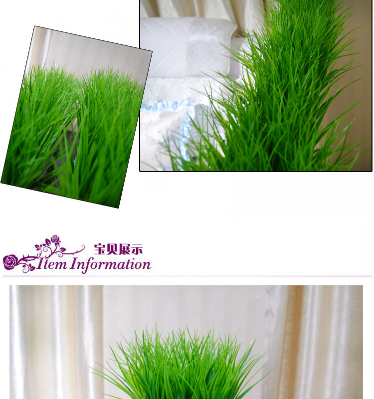 Mô phỏng cây xanh may mắn trồng trong chậu phòng khách cửa sổ trang trí nhà bằng nhựa giả hoa hàng rào đặt trang trí miếng - Hoa nhân tạo / Cây / Trái cây hoa giả hạc
