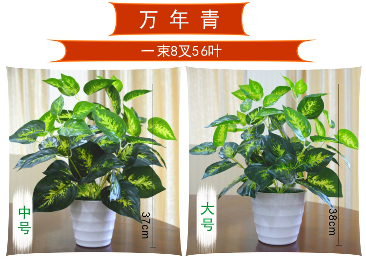 Cây mô phỏng giả xanh cà rốt nhựa hoa nhà phòng khách trang trí nội thất cây xanh phân vùng chậu cây trang trí - Hoa nhân tạo / Cây / Trái cây các loại lan giả hạc