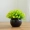 Mô phỏng cây xanh trồng trong nhà phòng khách đồ nội thất bàn mini trang trí hoa giả cây nhựa Milan starry - Hoa nhân tạo / Cây / Trái cây cây bàng giả