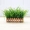 Mô phỏng hoa cỏ cỏ hàng rào gỗ đặt phòng khách nhà trong nhà sàn nhà bằng nhựa hiển thị chậu cây giả - Hoa nhân tạo / Cây / Trái cây