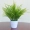 Cây mô phỏng giả xanh cà rốt nhựa hoa nhà phòng khách trang trí nội thất cây xanh phân vùng chậu cây trang trí - Hoa nhân tạo / Cây / Trái cây