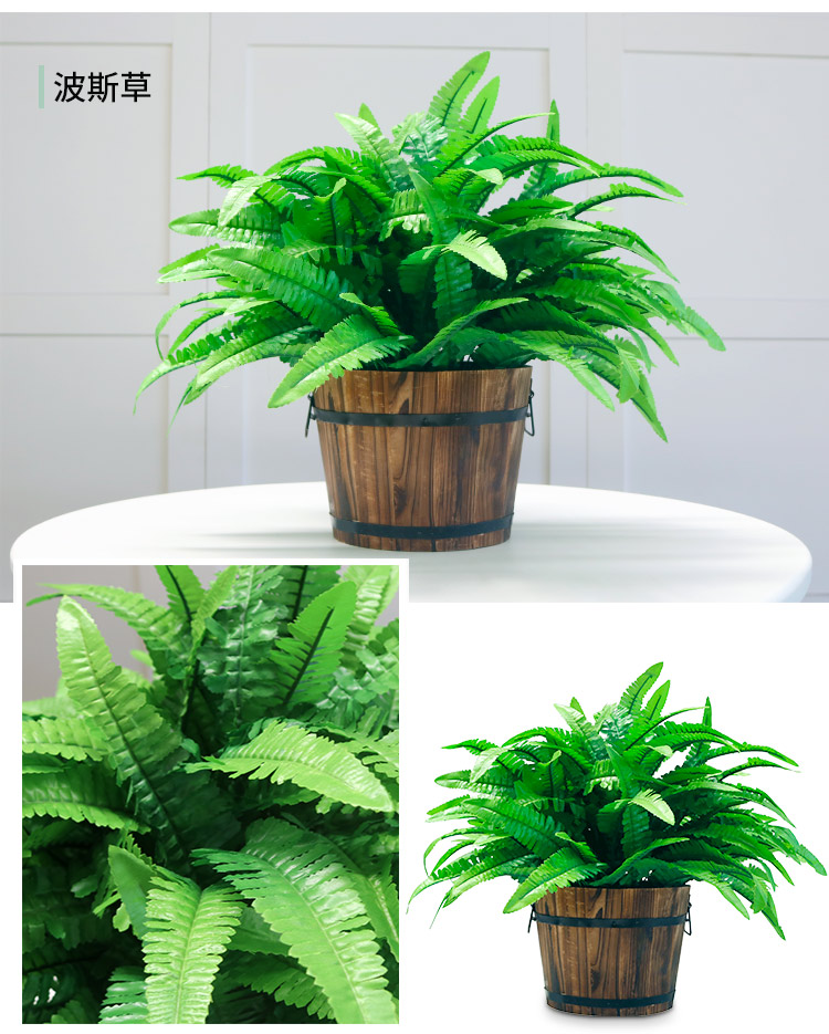 Mô phỏng cây xanh giả củ cải xanh thường xanh mô phỏng hoa và cây trang trí nội thất thùng chậu hoa nhựa và cây trang trí - Hoa nhân tạo / Cây / Trái cây hoa mộc lan giả
