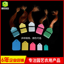 100 pieces of plastic succulent plant label PVC waterproof hanging sign gardening supplies flower with thread hanging tag fleshy label