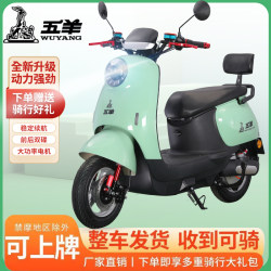 Wuyang Electric Vehicle Wuyang New arrival Electric Vehicle 72v2025 New arrival Electric Vehicle Adult Turtle King Battery Car 60V