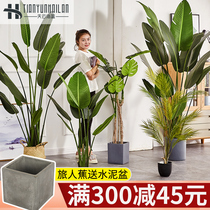 Large Nordic simulation plant paradise bird traveler banana interior decoration flower fake potted green plant Net red decoration tree