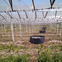 Resistance Root Plate Tree Planting Special Surrounding Tree Plate Seedling Control Root Instrumental Bonsai Screw Thickened Plastic Plant Flower Pool Chassis