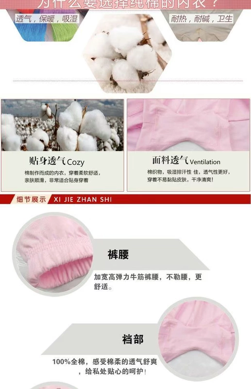 Đồ lót cotton trung niên và cao tuổi phần mỏng cộng với chất béo cỡ lớn cotton boxer đầu mẹ cao eo phẳng chân quần short nữ - Nam giới