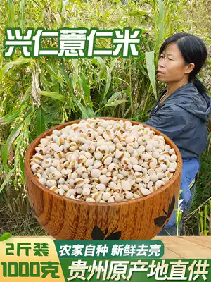 2021 Xingren barley new goods Guizhou farmhouse specialty small barley 1000g coix seed grain Qianbaokang