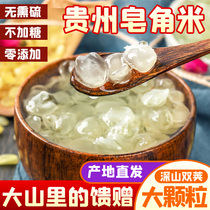 Guizhou specialty grade authentic double pod saponin rice 100g with peach gum Xueyan combination non Yunnan saponin Rice