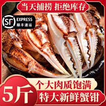 Crab claws fresh crab legs fresh crab claws crab legs drunk crab claws fishing juice raw materials commercial wholesale seafood aquatic products SF Express