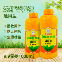 Huaduoduo No. 1 Concentrated Nutrient Solution Household Universal Flower Potted Succulent Liquid Fertilizer Promotes Roots and Flowers Quick-acting
