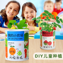 Observation on Plant Growth and Building of Kids Plant Growth of Mini-plant Mini-plant Mini-peasant Pediatric Plant Growth in Kindergarten