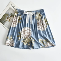 Небо синяя хризантема