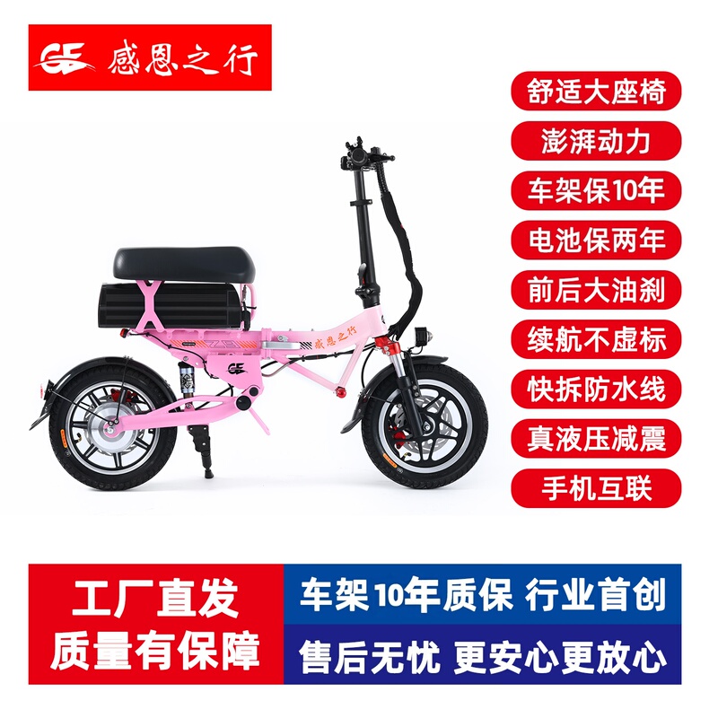 Grateful Journey D9 Electric Bicycle for Driving Assistance, Fourth Generation Foldable Climbing Electric Bike with High Endurance Lithium Battery and Lightweight Aluminum Alloy