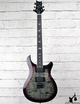  PRS SE Mark Holcomb Signature Signature Electric Guitar