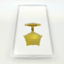 Box only *money badge display box