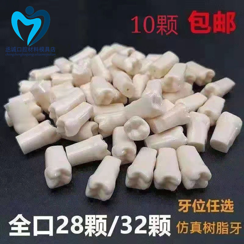 树脂牙粒 28颗全口牙位齐全  开髓牙口腔耗材备牙模型考试练习牙