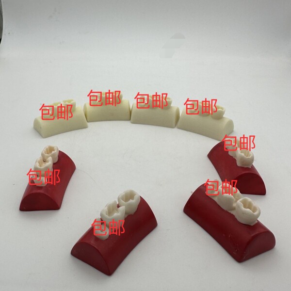 口腔补牙模型牙科练习树脂块儿练习补牙根管填充嵌体三颗牙练习