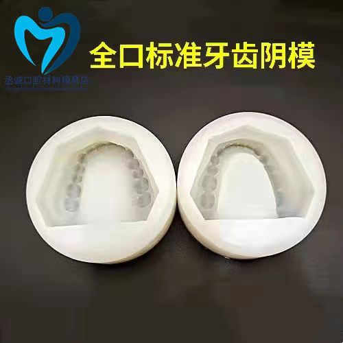 牙科材料 标准有牙阴模 无牙阴模半牙阴模石膏牙模型印模翻模工具