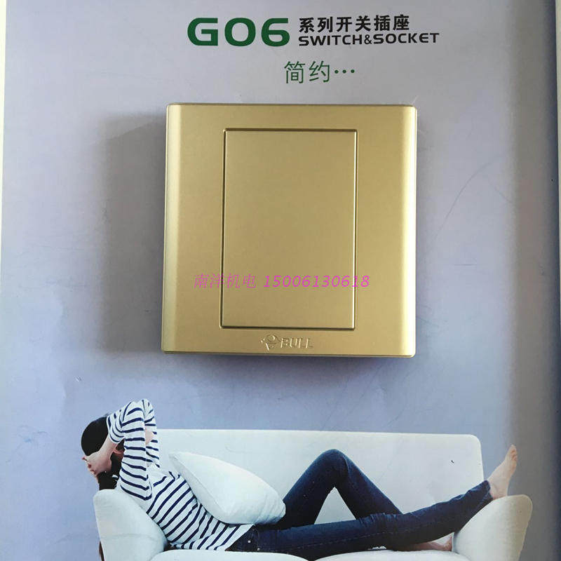 Bull switch socket panel blank board G06B101U6 champagne gold 86 type wall seal board new product
