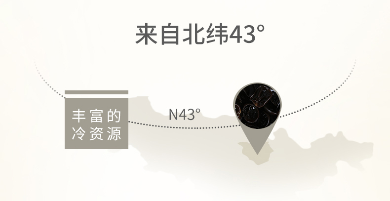 吉林政协书记推荐 铭优食品 东北特产黑木耳 500g 图4