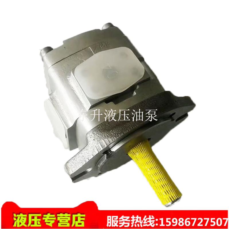 Fuji Yue Gear Pump W-IPH-6B 6A-80 100 125 160-L T TT LT-11 21 7178A