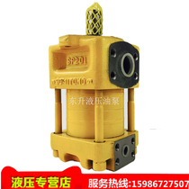 SUMITOMO SUMITOMO high pressure gear pump Electric pump Injection molding machine pump High speed excavator oil pump Cast iron