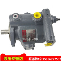 feng xing TOYOOKI pump piston pump HPP-VD2V-F31A3 F31A5 L31A3 L31A5-EE-A-G