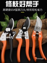 Cut Branches Scissors Repair Fruit Trees Prunes Special Gardening Clippings Tree Branches Pruning Tool Flowers Cut Garden Theorist Flowers Art Cut