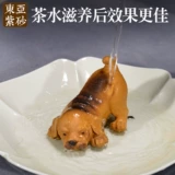Полная ручная лабрадор собака Purple Sand Tea Decoration Zi Yeye Бутик -чай поднимает чай