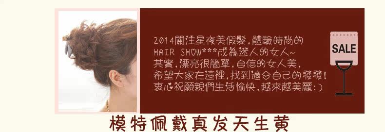 Extension cheveux - Chignon - Ref 235123 Image 17