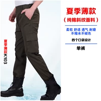 Лето K103 [одиночные брюки]