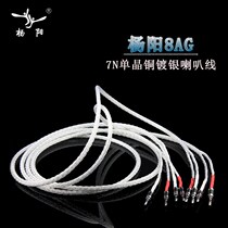 Taiwan Yang Yang fever grade main sound box line 7N banana copper silver plated HiFi sound horn line connected with single crystal head Y plug