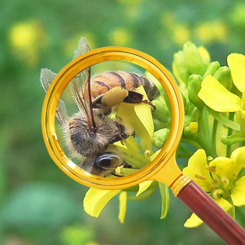 Портативная лупа для школьников для пожилых людей, мобильный телефон, 60мм