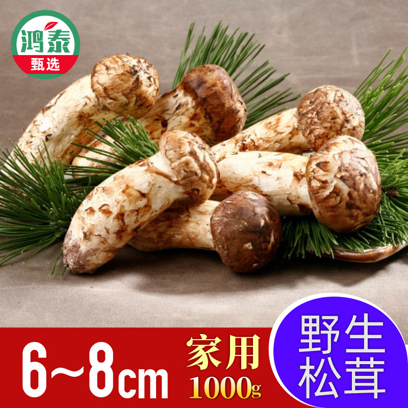 2025新鲜松茸特供,顺丰包邮直达,东北长白山延吉发货,尝鲜不容错过!🍄 -新鲜松茸-淘宝百科网