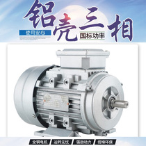 YS three-phase synchronous motor aluminum shell motor 180w motor 370w motor 550W motor 750W motor Guangdong