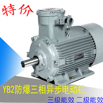 Explosion-proof motor YB3 explosion-proof motor YB2 explosion-proof motor explosion-proof inverter motor Xicai explosion-proof motor