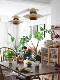 Nordic Mid-Century Solid Wood P H5 Ufo Pendant Light for Dining Room, Bar, French, Japanese, Retro, Southeast Asian Study, Island Table Pendant Light
