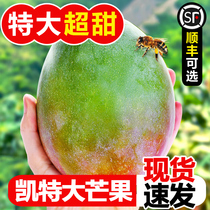 Sichuan Panzhihua Kate Mango Fresh 10 catties Gift Box SF Green Skin Mango Super Sweet Super Busy Fruit Straight Hair