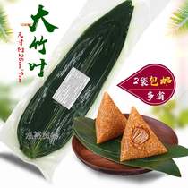 50 pieces of fresh green bamboo leaves Ruoye sushi cuisine barbecue decoration small rice dumpling leaves large rice dumplings