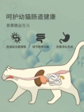 Кошка папа № 1 № 3 натуральная кошка пища жировой жировой котенок во время беременности во время беременности, кошка кормяние кормильностью кошка